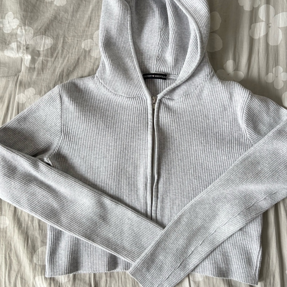 Brandy Melville Cropped Hoodie